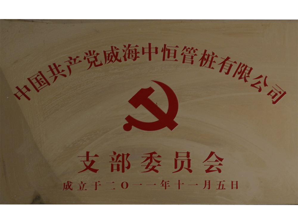 DETAIL<br>TITLE：Chinese Communist Party Weihai Zhongheng Pipe Pile Co., Ltd. TIMES：1487